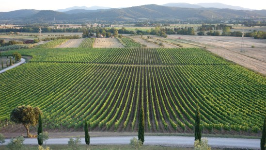 tuscan wine hholiday