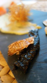 paahdettu lohennahka